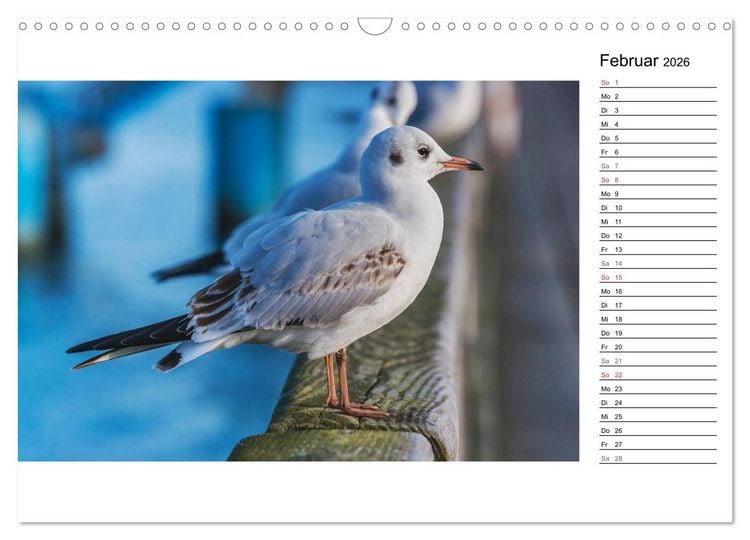 Produktbild: Ostseebad Binz &ndash; Zeit f&uuml;r Erholung (Wandkalender 2026 DIN A3 quer), CALVENDO Monatskalender