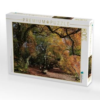 Produktbild: CALVENDO Puzzle Die S&uuml;ntelbuchenallee von Bad Nenndorf im Oktober | 1000 Teile Lege-Gr&ouml;&szlig;e 64x48cm Foto-Puzzle f&uuml;r gl&uuml;ckliche Stunden