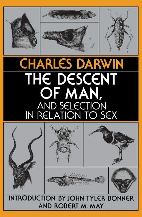 Produktbild: The Descent of Man, and Selection in Relation to Sex