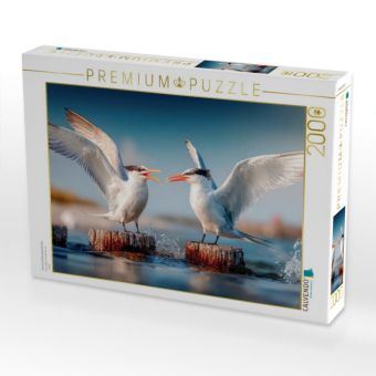 Produktbild: CALVENDO Puzzle Seeschwalbengetratsche | 2000 Teile Lege-Gr&ouml;&szlig;e 90x67cm Foto-Puzzle f&uuml;r gl&uuml;ckliche Stunden