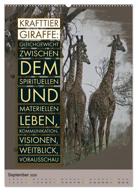 Produktbild: Afrikanische Krafttiere und deren Bedeutung (hochwertiger Premium Wandkalender 2026 DIN A2 hoch), Kunstdruck in Hochglanz