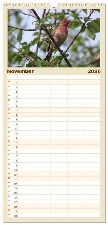 Produktbild: Familienplaner 2026 - V&ouml;gel ganz nah mit 5 Spalten (Wandkalender, 21 x 45 cm) CALVENDO
