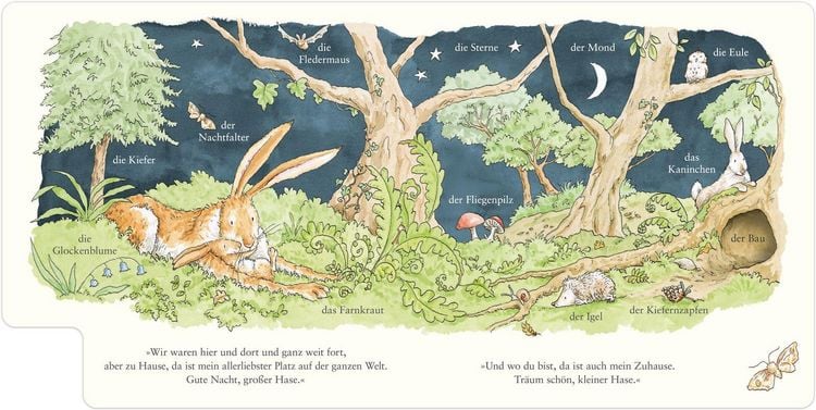 Produktbild: Wei&szlig;t du eigentlich, wie lieb ich dich hab? Wir entdecken die Natur