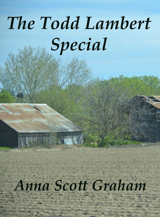 Produktbild: The Todd Lambert Special (Alvin's Farm, #7)