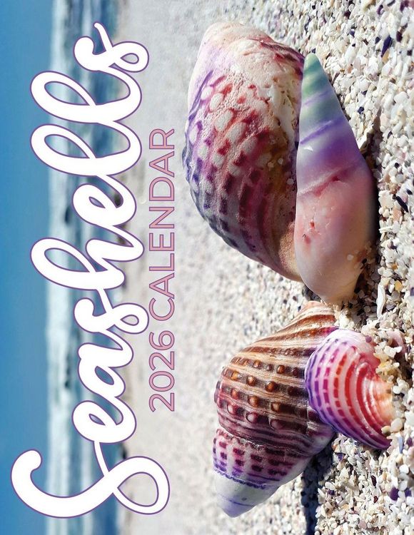 Produktbild: Seashells 2026 Calendar