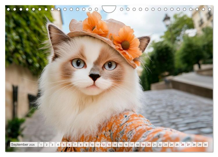 Produktbild: KATZEN-SELFIES Tierische Reiselust (Wandkalender 2026 DIN A4 quer), CALVENDO Monatskalender