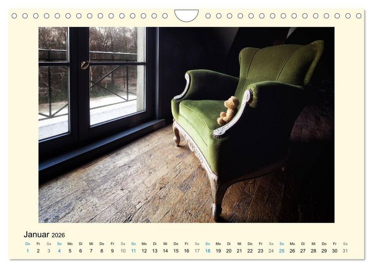 Produktbild: Herr B&auml;r urban explorer (Wandkalender 2026 DIN A4 quer), CALVENDO Monatskalender