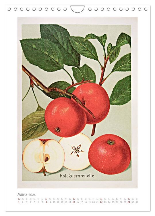 Produktbild: &Auml;pfel/Appels. Alte ostfriesische Sorten (Wandkalender 2026 DIN A4 hoch), CALVENDO Monatskalender