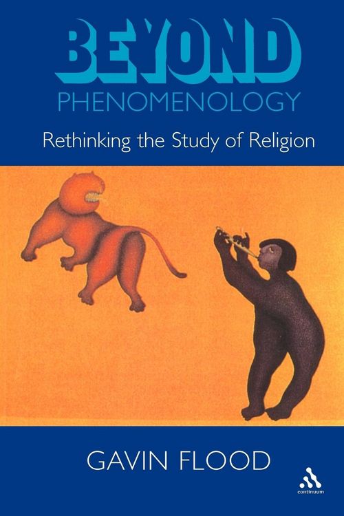 Produktbild: Beyond Phenomenology
