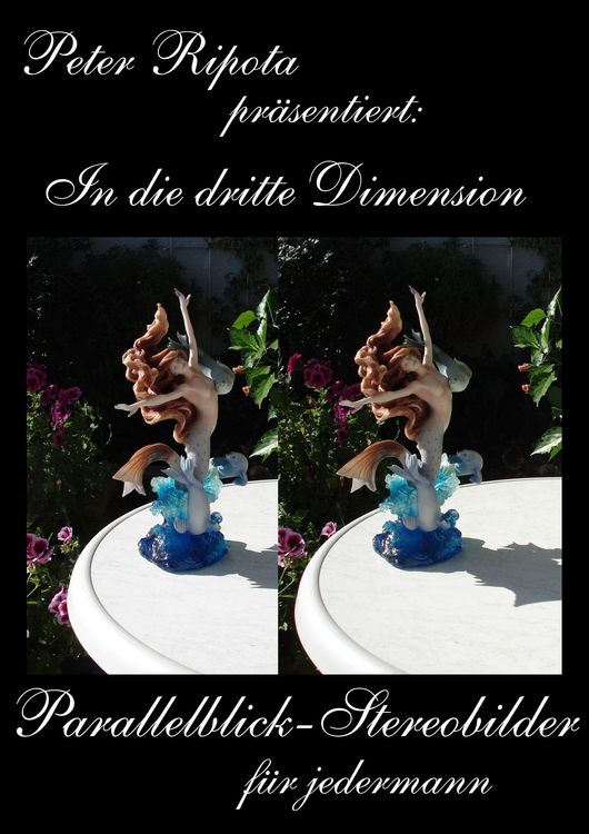 Produktbild: In die dritte Dimension-2
