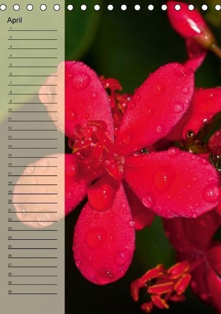 Produktbild: Immerw&auml;hrender Geburtstagskalender - Bl&uuml;tentr&auml;ume (Tischkalender immerw&auml;hrend DIN A5 hoch)