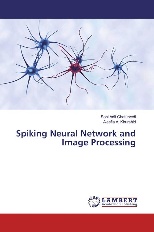 Produktbild: Spiking Neural Network and Image Processing
