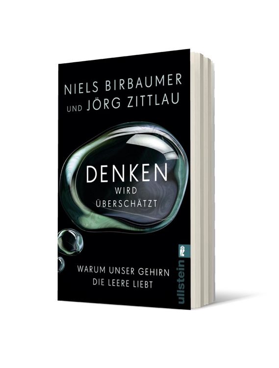 Produktbild: Denken wird &uuml;bersch&auml;tzt