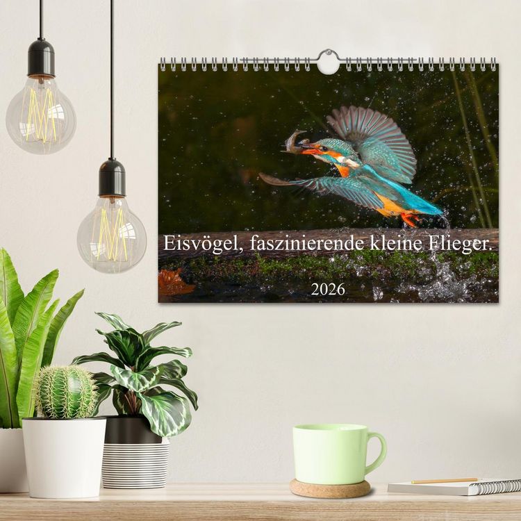Produktbild: Eisv&ouml;gel, faszinierende kleine Flieger. (Wandkalender 2026 DIN A4 quer), CALVENDO Monatskalender