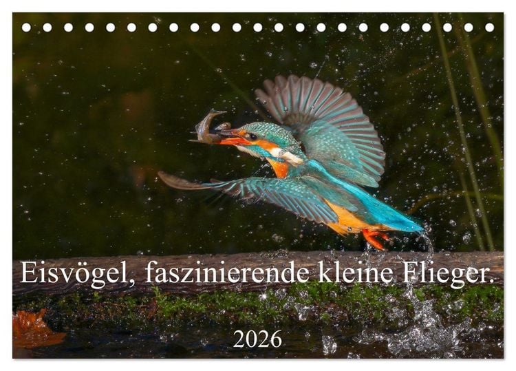 Produktbild: Eisv&ouml;gel, faszinierende kleine Flieger. (Tischkalender 2026 DIN A5 quer), CALVENDO Monatskalender