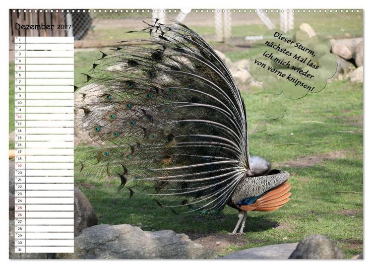 Produktbild: Wenn Tiere Sprechen k&ouml;nnten! Der lustige Spr&uuml;che Geburtstagskalender (Wandkalender 2027 DIN A2 quer), CALVENDO Monatskalender