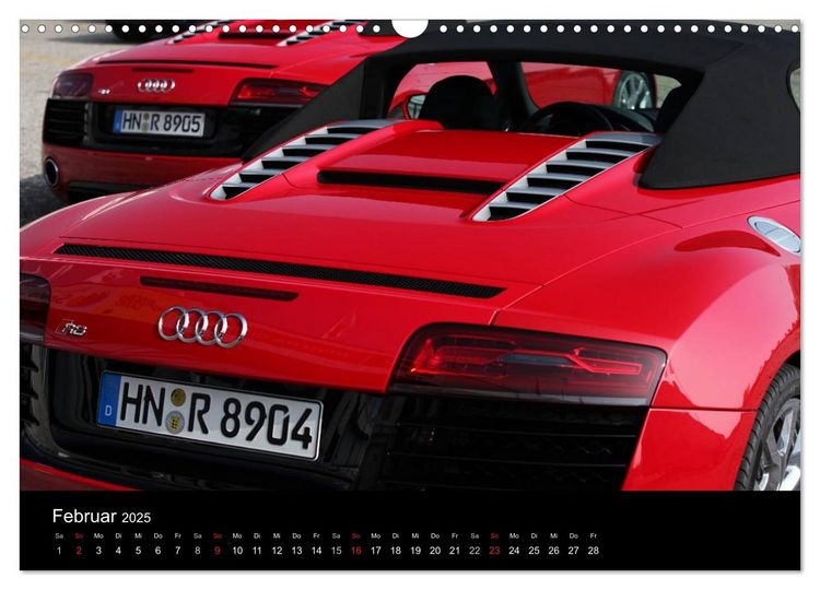 Produktbild: Vollblut-Sportler (Wandkalender 2025 DIN A3 quer), CALVENDO Monatskalender