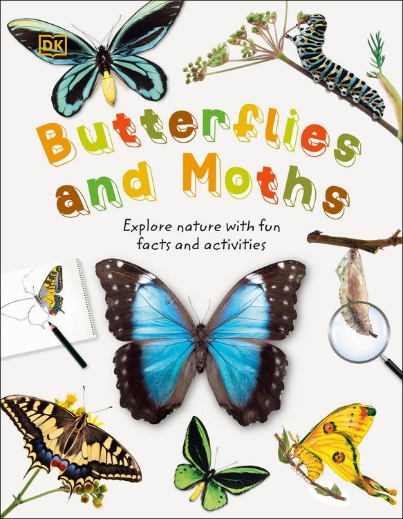 Produktbild: Butterflies and Moths