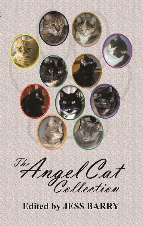 Produktbild: The Angel Cat Collection