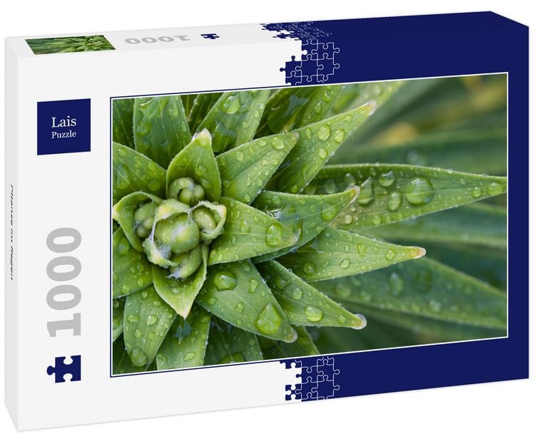 Produktbild: Lais Puzzle Pflanze im Regen 1000 Teile