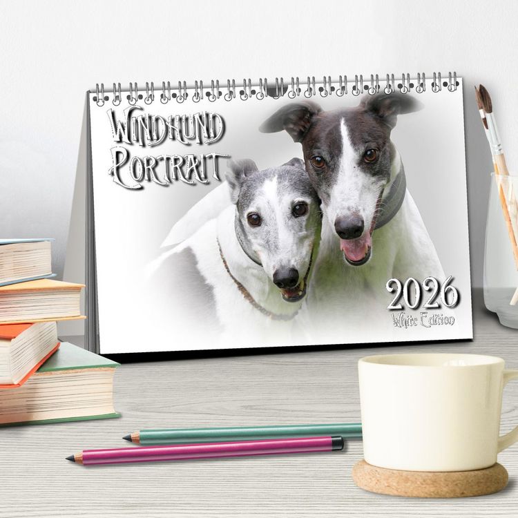 Produktbild: Windhund Portrait 2026 White Edition (Tischkalender 2026 DIN A5 quer), CALVENDO Monatskalender