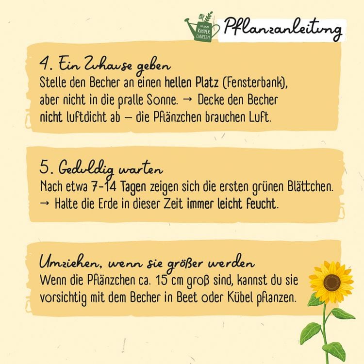 Produktbild: Meine erste Sonnenblume