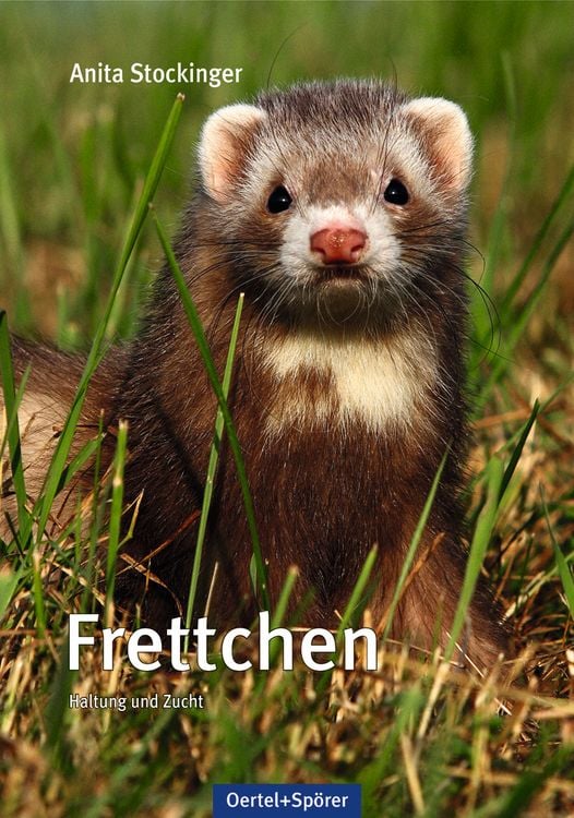 Produktbild: Frettchen