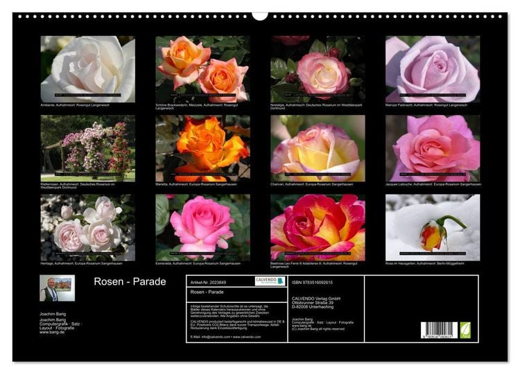 Produktbild: Rosen - Parade (Wandkalender 2026 DIN A2 quer), CALVENDO Monatskalender