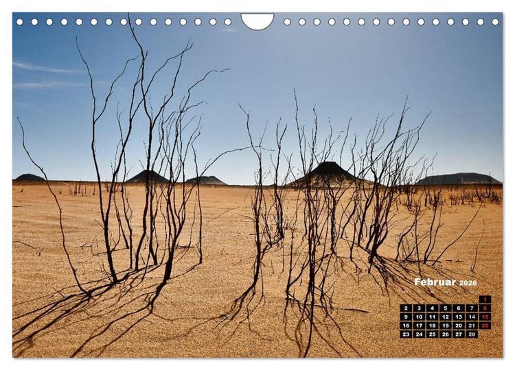 Produktbild: &Auml;gypten &ndash; westliche W&uuml;sten (Wandkalender 2026 DIN A4 quer), CALVENDO Monatskalender