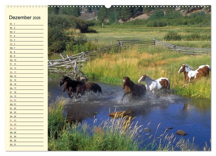 Produktbild: Wilde Pferde. Mustangs in USA (hochwertiger Premium Wandkalender 2026 DIN A2 quer), Kunstdruck in Hochglanz