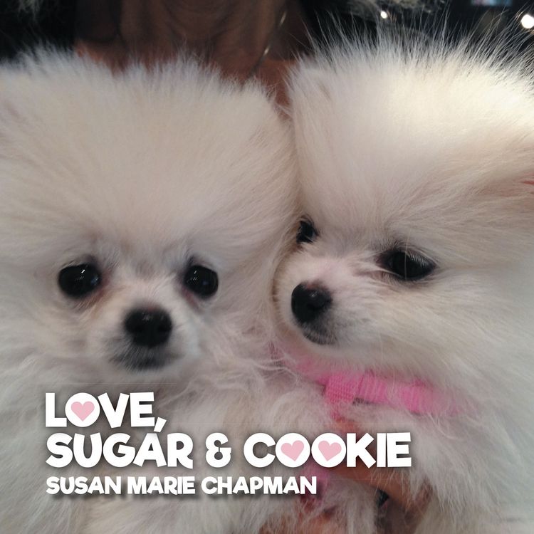 Produktbild: Love, Sugar and Cookie