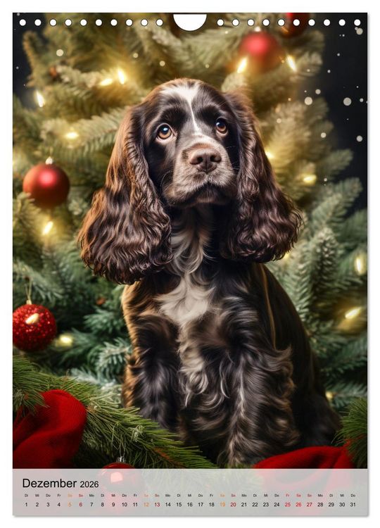 Produktbild: Cocker Spaniel - ein Hund f&uuml;r die Familie (Wandkalender 2026 DIN A4 hoch), CALVENDO Monatskalender