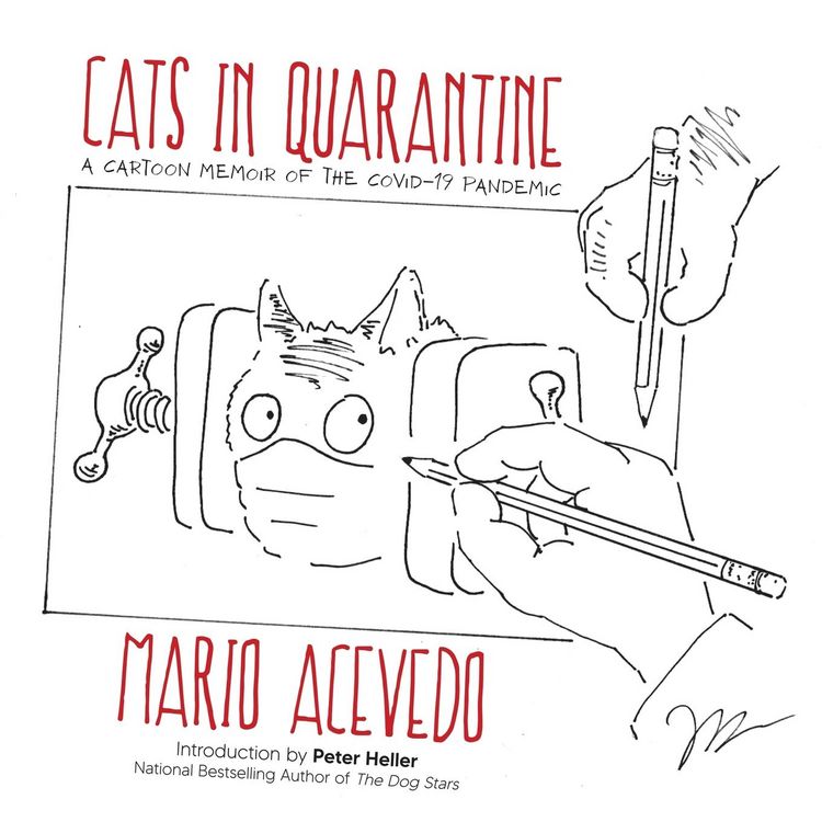 Produktbild: Cats in Quarantine