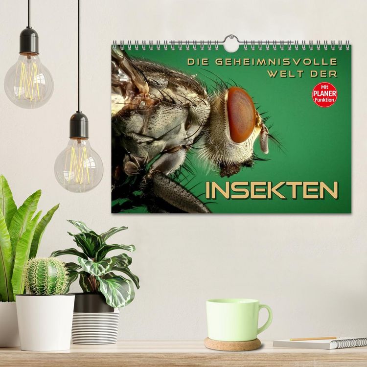 Produktbild: Die geheimnisvolle Welt der Insekten (Wandkalender 2026 DIN A4 quer), CALVENDO Monatskalender