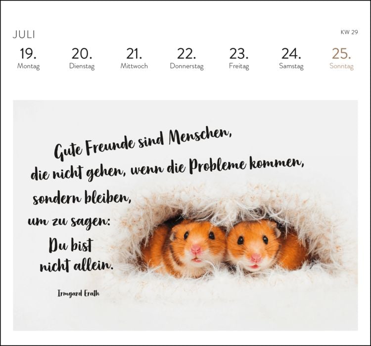 Produktbild: Postkartenkalender 2027: Eine kleine Umarmung f&uuml;r jeden Tag