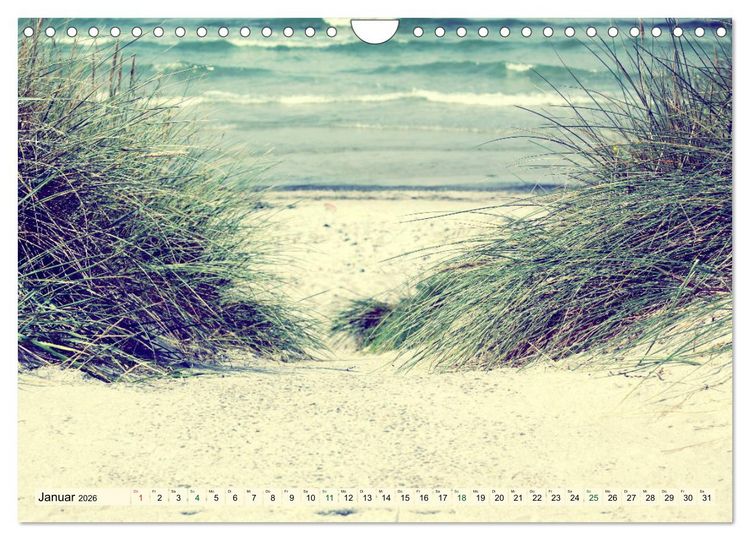Produktbild: Focus Natur (Wandkalender 2026 DIN A4 quer), CALVENDO Monatskalender
