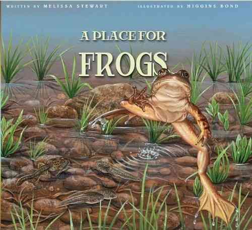 Produktbild: Place For Frogs