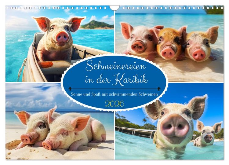 Produktbild: Schweinereien in der Karibik. Sonne und Spa&szlig; mit schwimmenden Schweinen (Wandkalender 2026 DIN A3 quer), CALVENDO Monatskalender