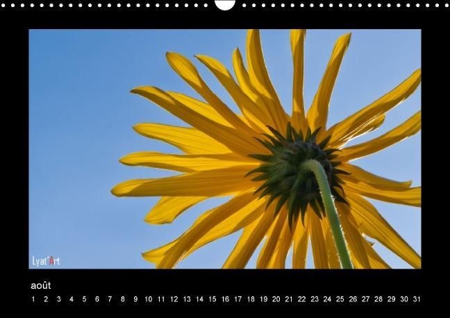 Produktbild: Liatard, A: Fleurs et couleurs (Calendrier mural Calendrier