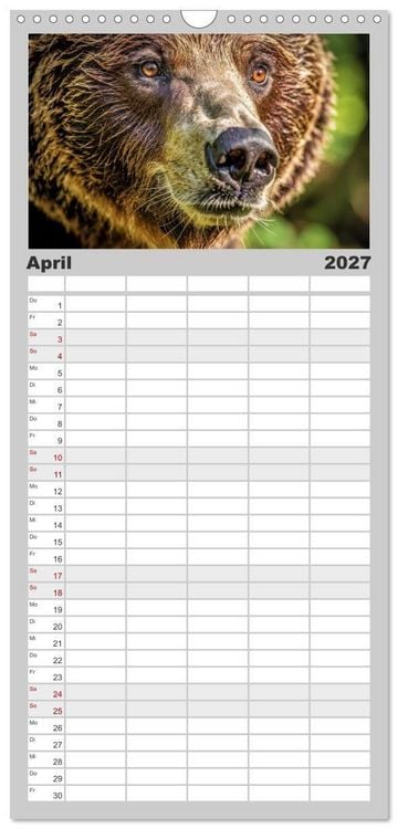 Produktbild: Familienplaner 2027 - Die Augen der Wildnis mit 5 Spalten (Wandkalender, 21 x 45 cm) CALVENDO