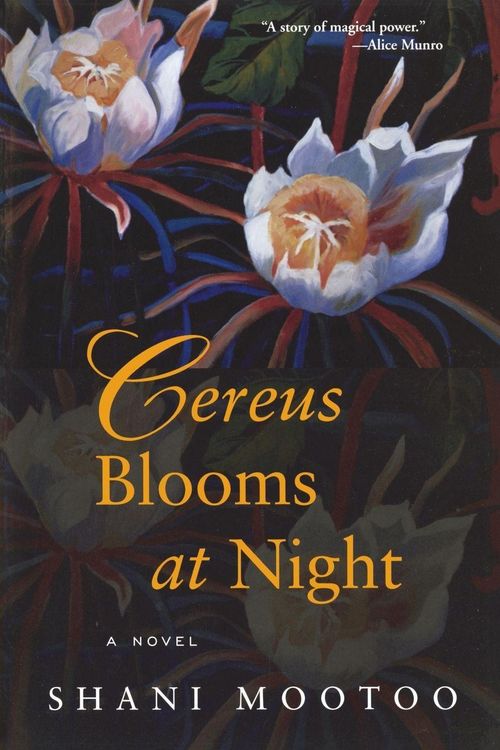 Produktbild: Cereus Blooms at Night