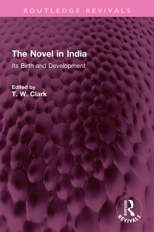 Produktbild: The Novel in India