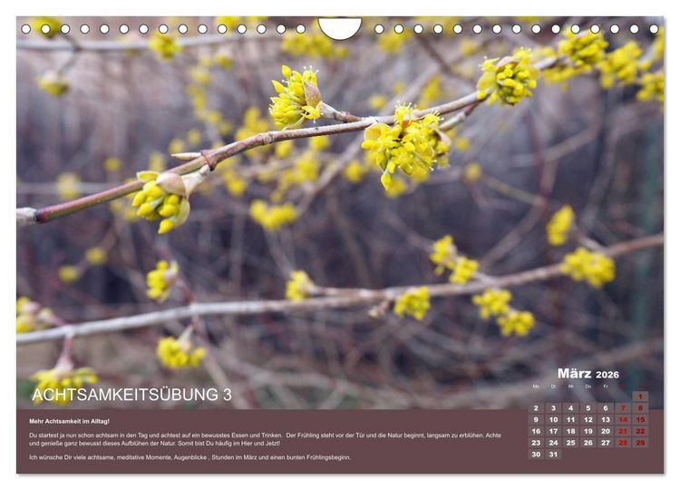 Produktbild: Achtsamkeit, 12 &Uuml;bungen zu mehr Achtsamkeit. (Wandkalender 2026 DIN A4 quer), CALVENDO Monatskalender