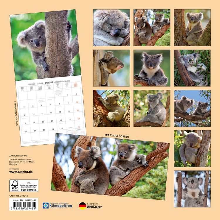 Produktbild: Koalas 2027