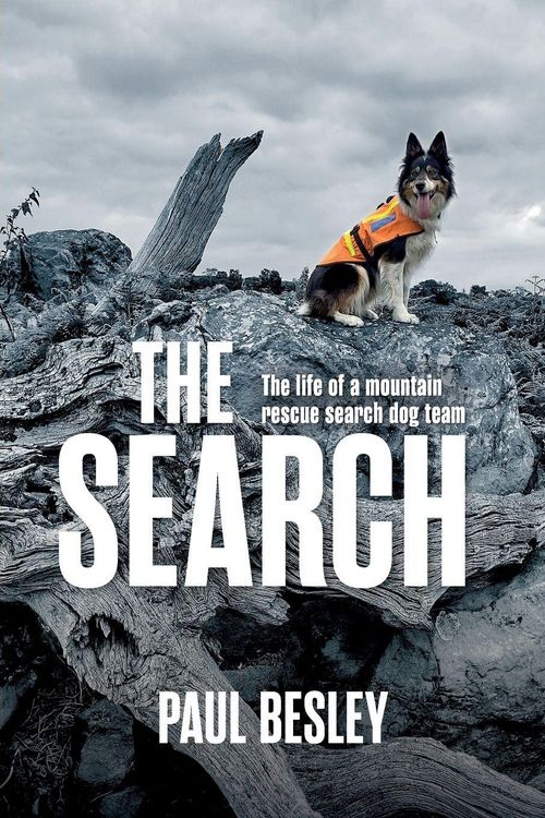 Produktbild: The Search