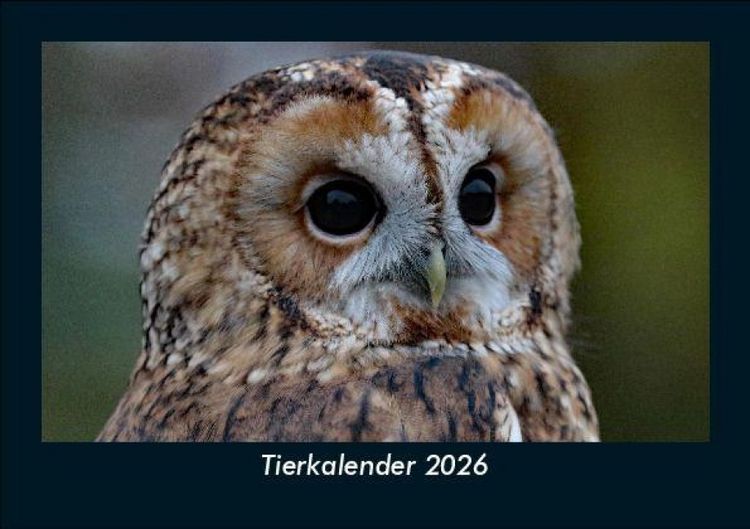 Produktbild: Tierkalender 2026 Fotokalender DIN A5