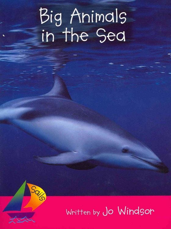 Produktbild: Big Animals in The Sea
