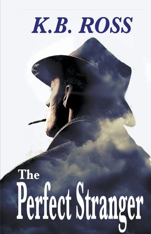 Produktbild: The Perfect Stranger