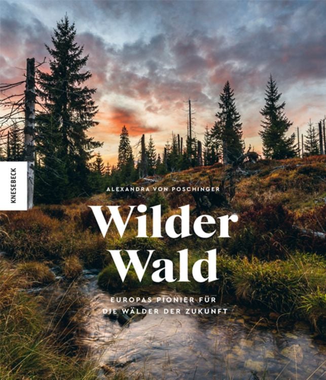 Produktbild: Wilder Wald