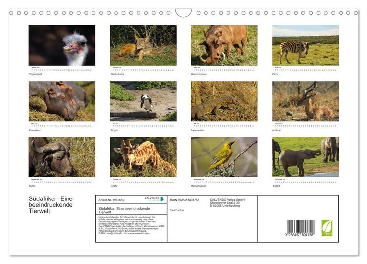 Produktbild: S&uuml;dafrika - Eine beeindruckende Tierwelt (Wandkalender 2026 DIN A3 quer), CALVENDO Monatskalender